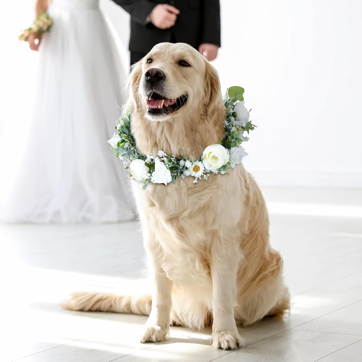 2 Pcs Dog Wedding Flower Collar and Pearl Leash, White,Medium
