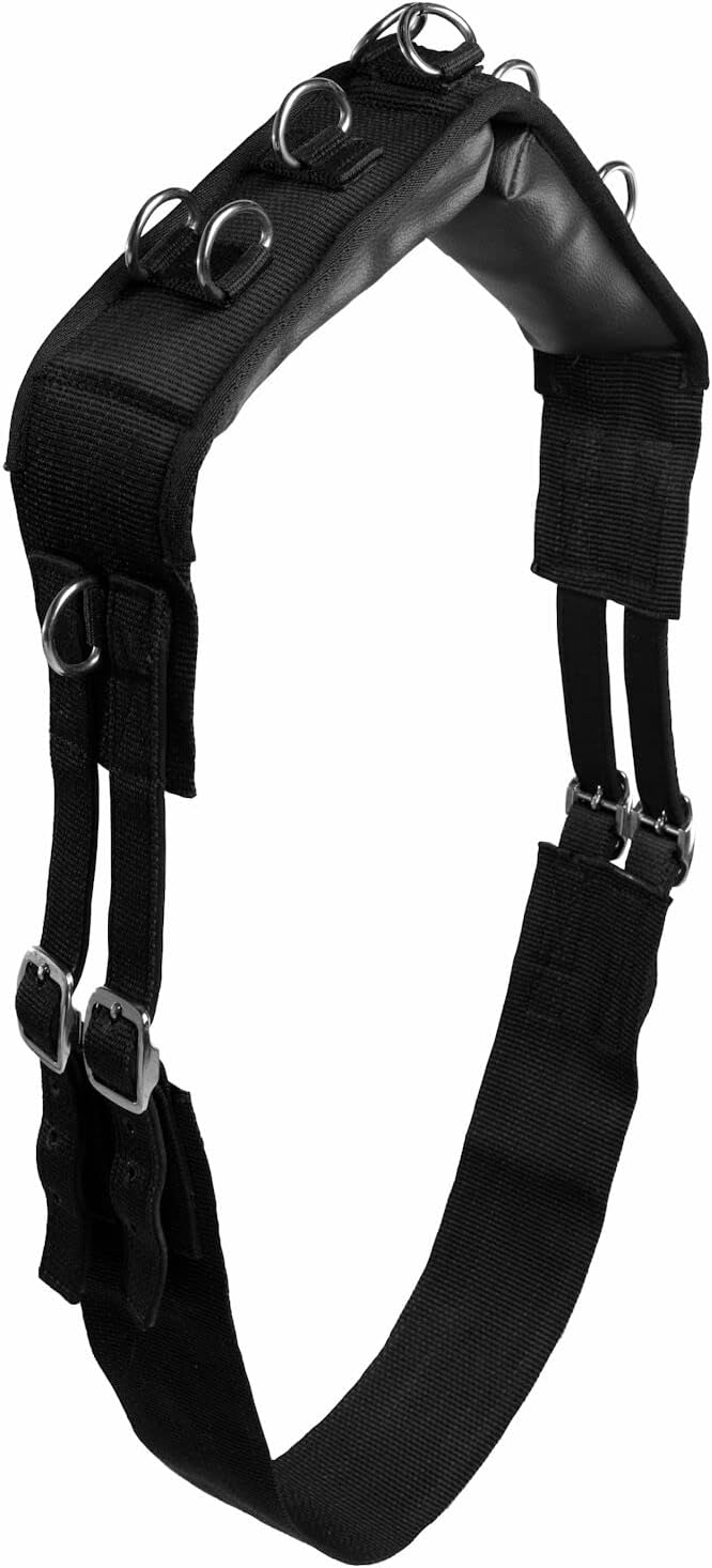 Lunging Surcingle for Horses | Nylon Roller for Training - Black - Horse