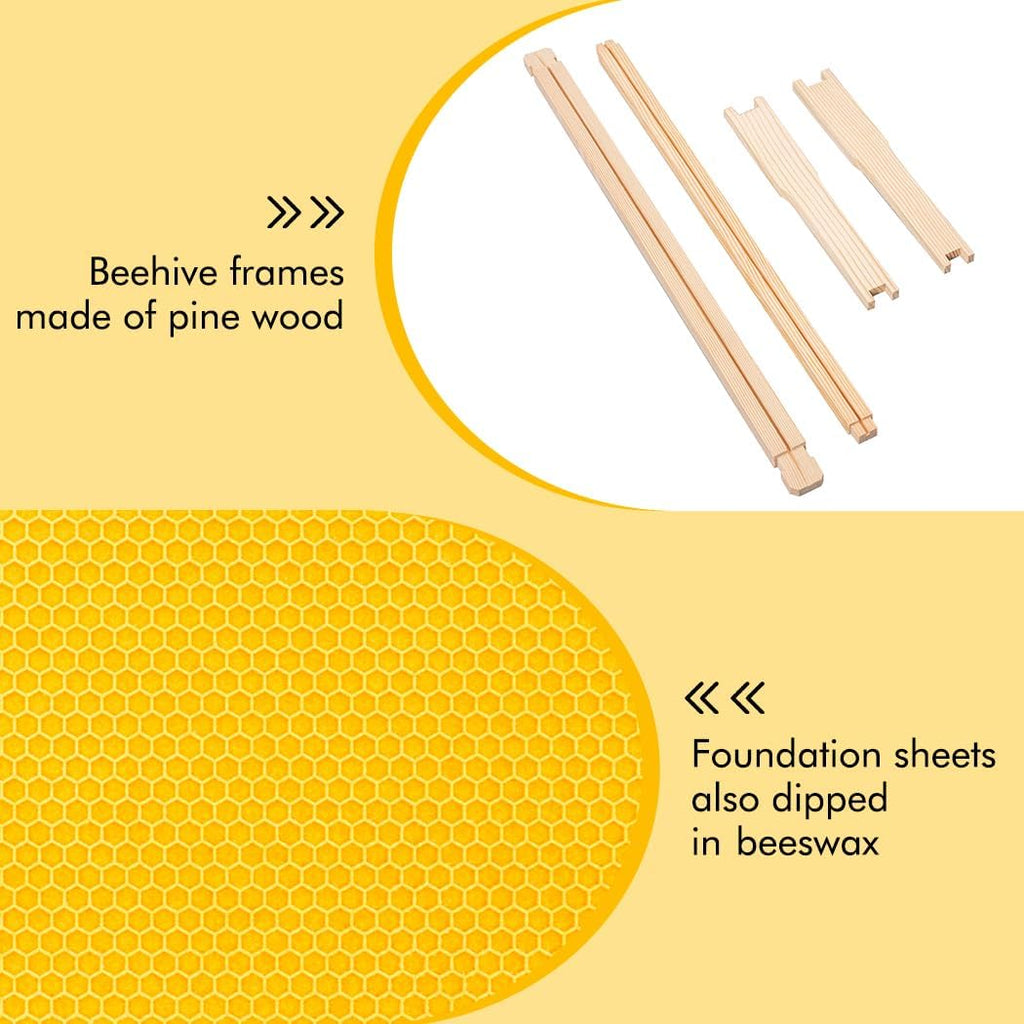 20 Pack Deep Beehive Frames Kit with Durable Wooden Frames and Food-Grade Beeswax-Coated Plastic Foundations for