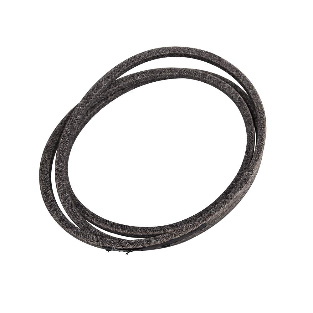 Genuine Ayp Part # 532106085, V-Belt T