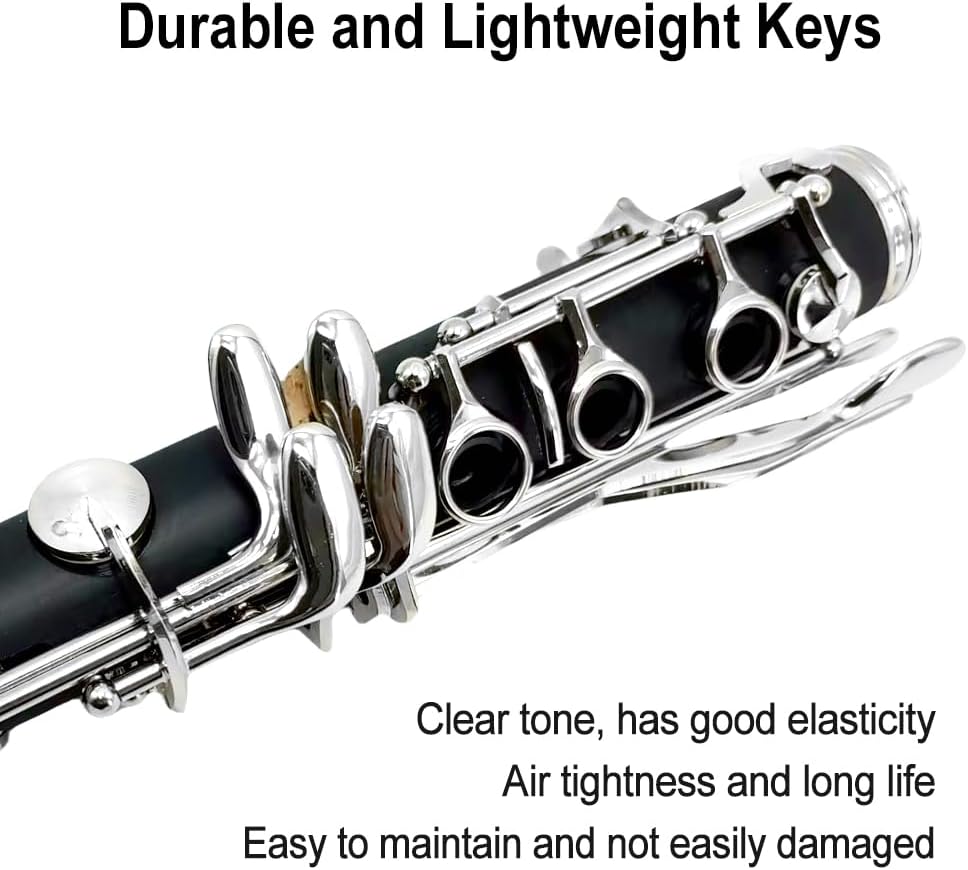 Bb Clarinet for Beginners, Student B Flat Clarinet with Ebonite Body & Nickel-Plated 17 Keys, Woodwind Instrument