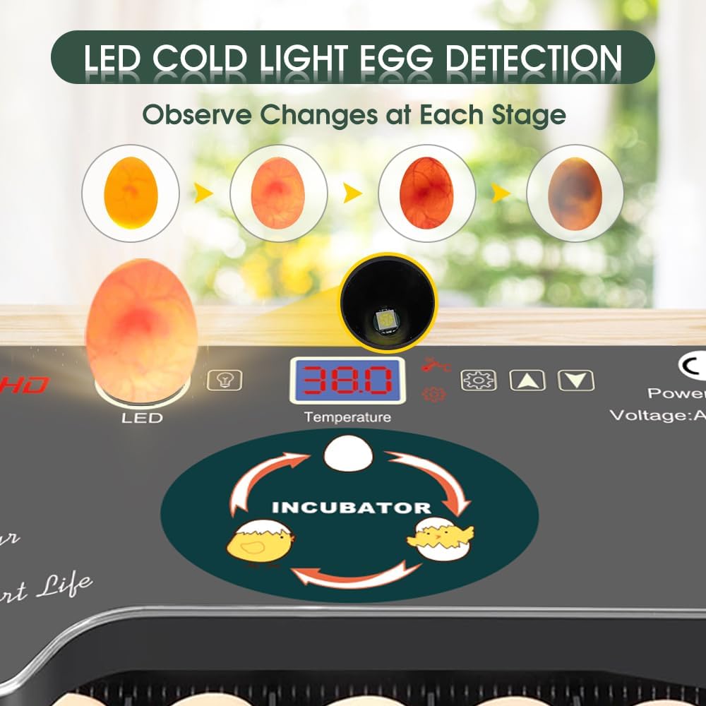 12 Egg Incubator - Automatic Egg Turner, Temperature Control, Built-in Candler, Auto Water Refill for Hatching