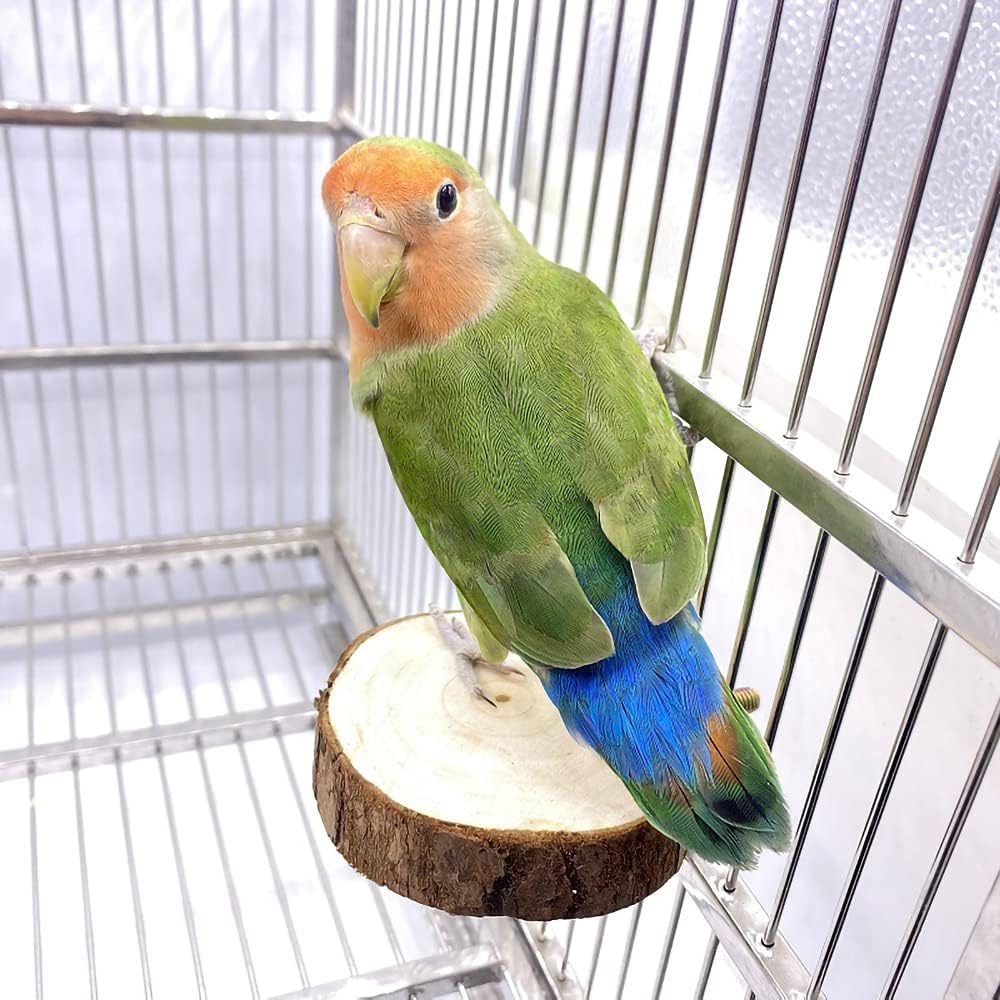 9-Piece Parakeet Toys & Budgie Toys, Bird Cage Accessories Set | Natural wood bird toys include coconut hideaway