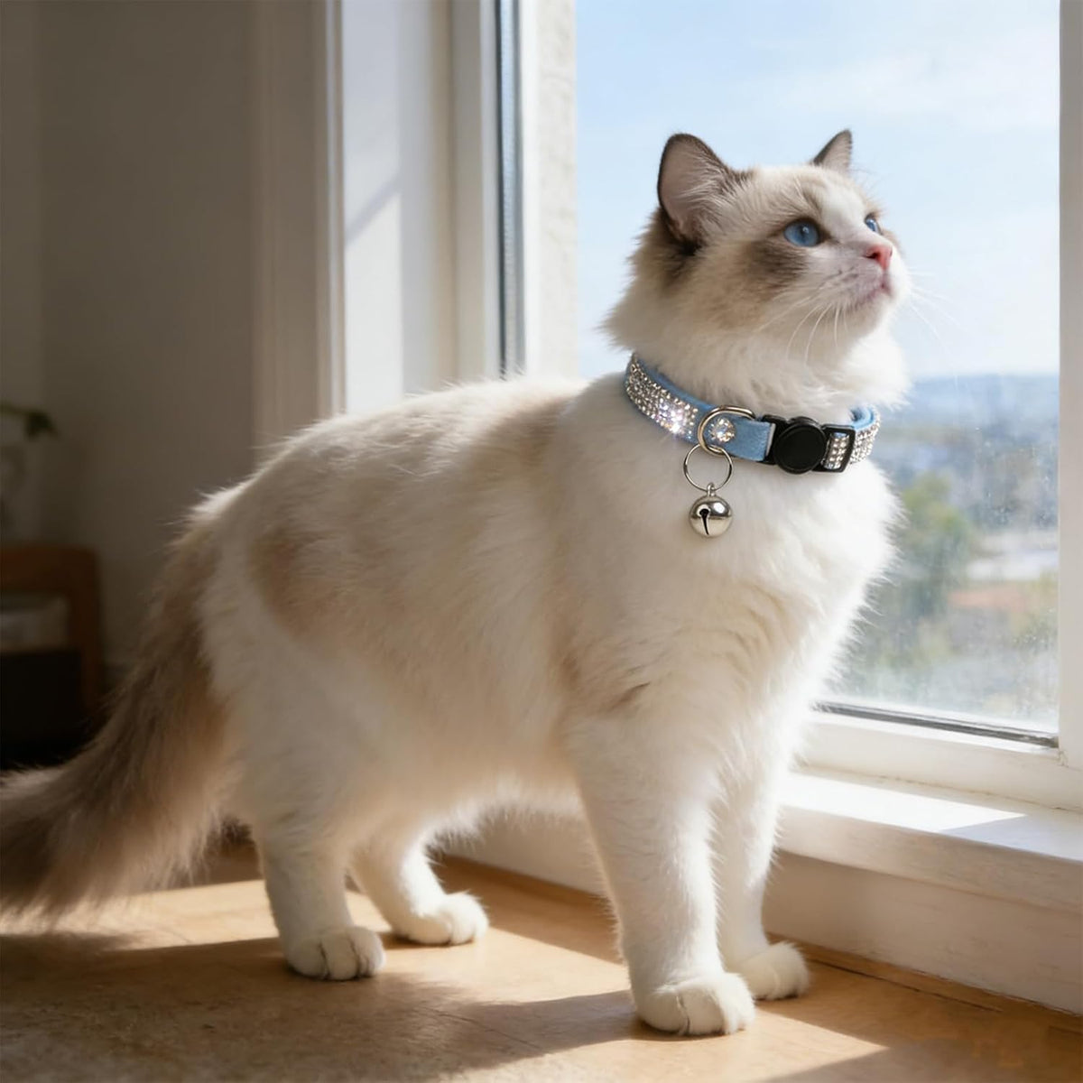 Rhinestone Cat Collar Breakaway (Blue)