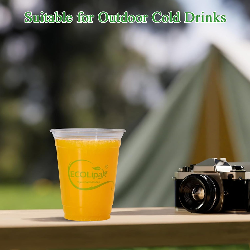 100 Count 12oz Clear Disposable Compostable Plastic Cups for Party