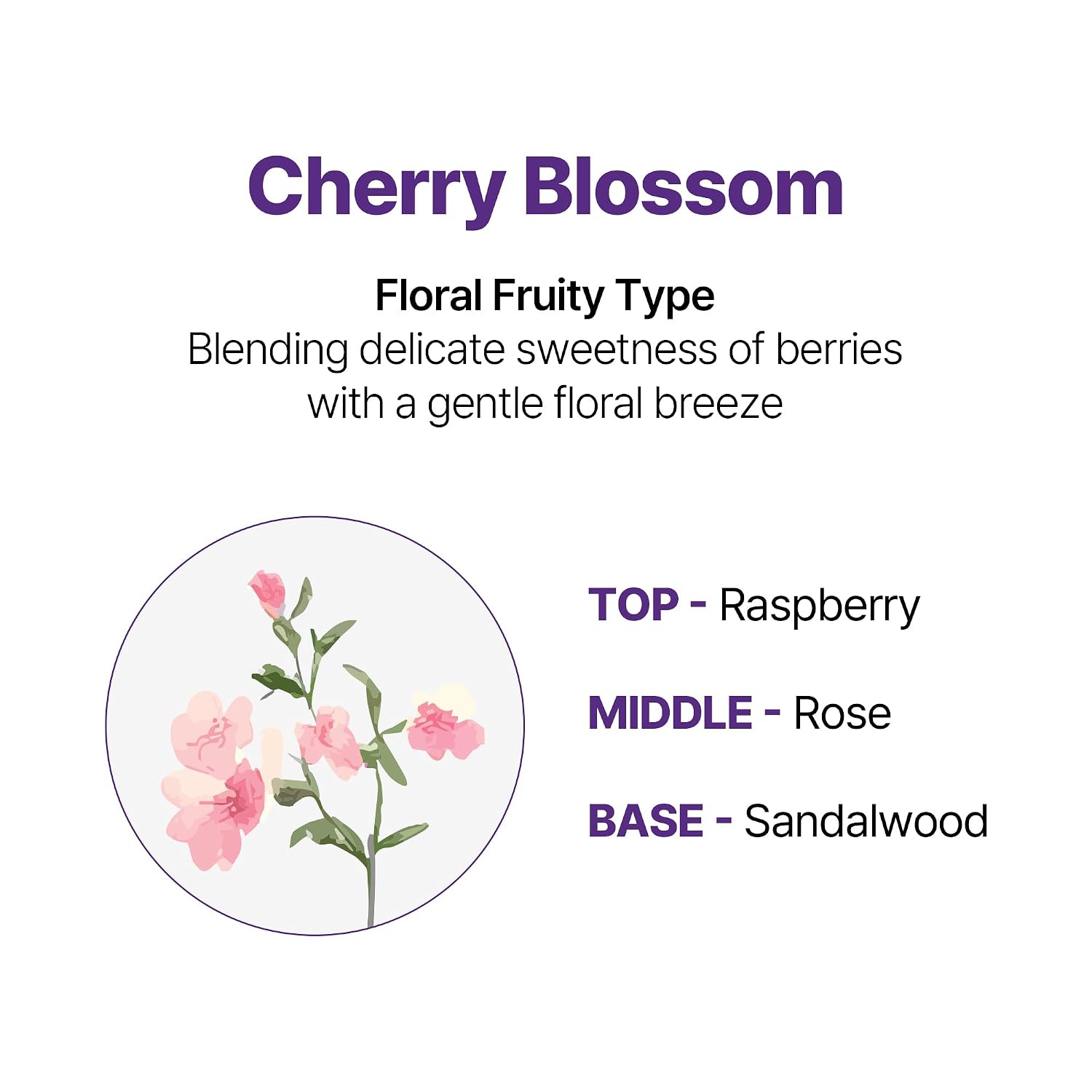 Honey & Macadamia Korean Hair Care Shampoo & Conditioner Set, Cherry Blossom, 16.9 Fl Oz, Pack of 2 - Salon Quality