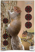Pregame 12" x 18" Paper Shooting Targets