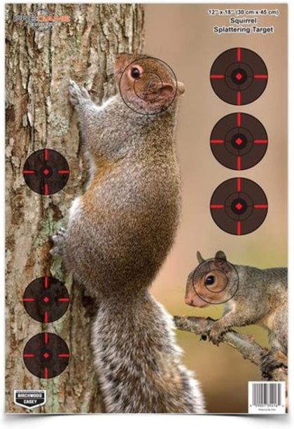 Pregame 12" x 18" Paper Shooting Targets