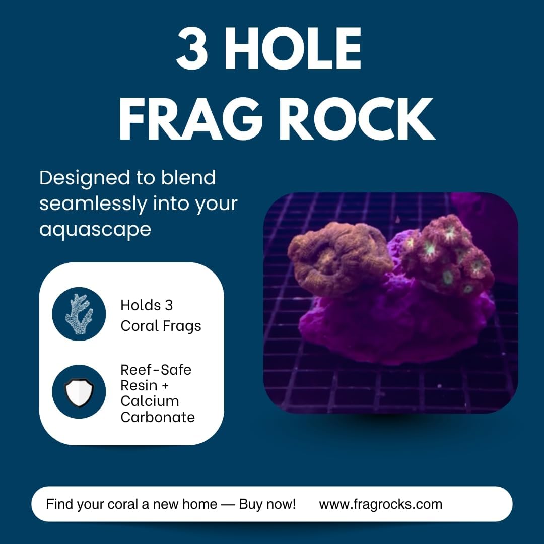 3 Hole Sandbed Coral Artificial Resin Frag Rack/Rock for Live Coral Plug Ons for Reef Aquariums (Coralline Purple)