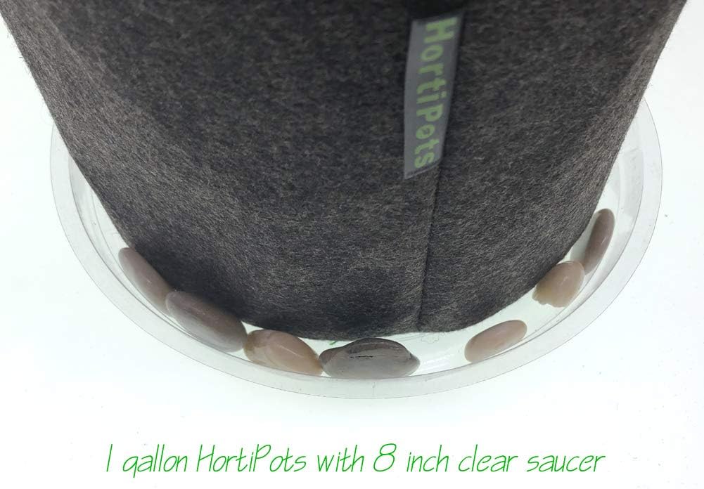 Fabric Pots 1 Gallon Non So Floppy Air Pruning Cloth Grow Bags Black Gray (Pack of 6)