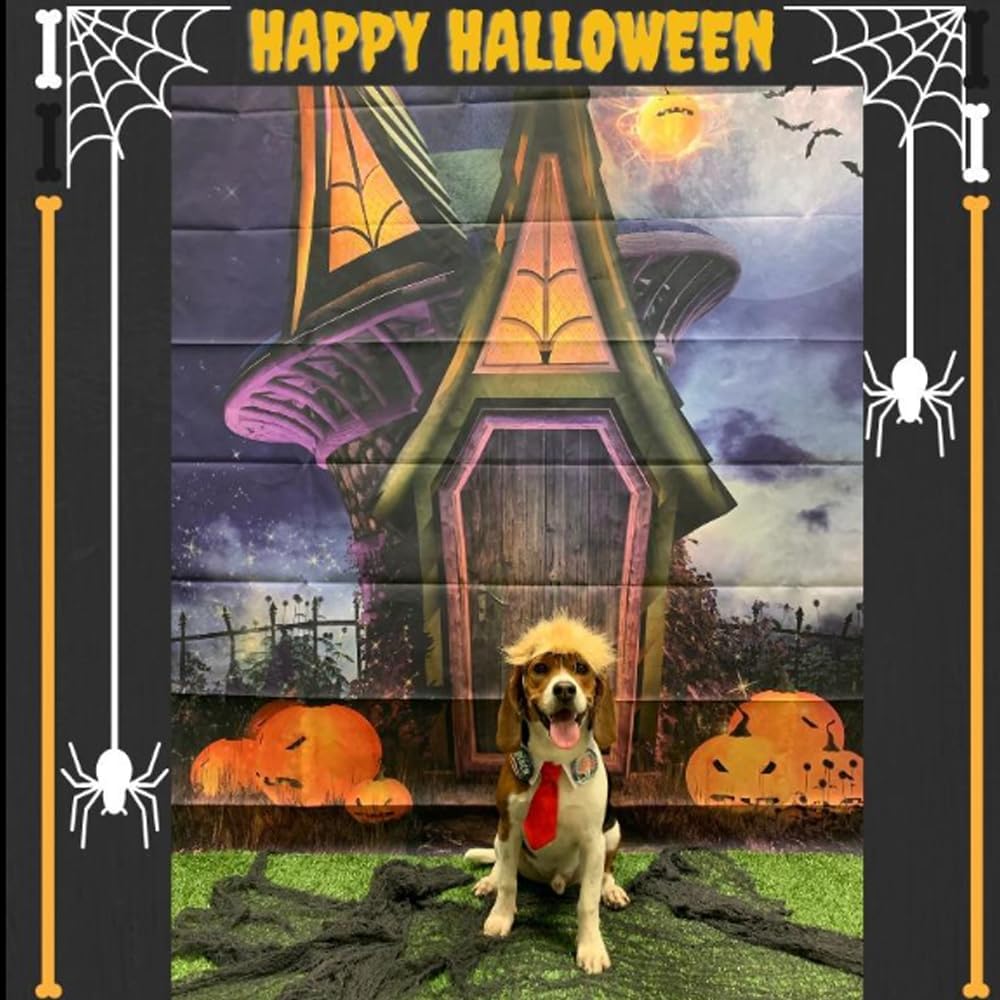Trump Style Pet Costume Dog Wig, Dog Clothes with Collar & Tie Head Wear Apparel Toy for Halloween, Christmas