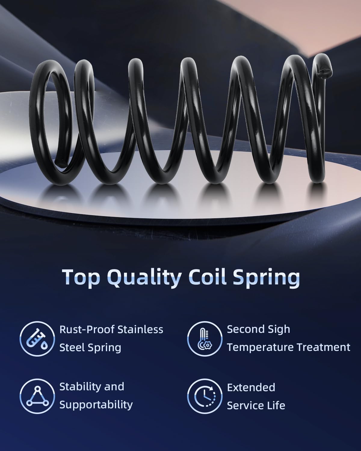 ECCPP 2PCS Rear Coil Springs Suspension Coil Spring Set for Toyota Sienna