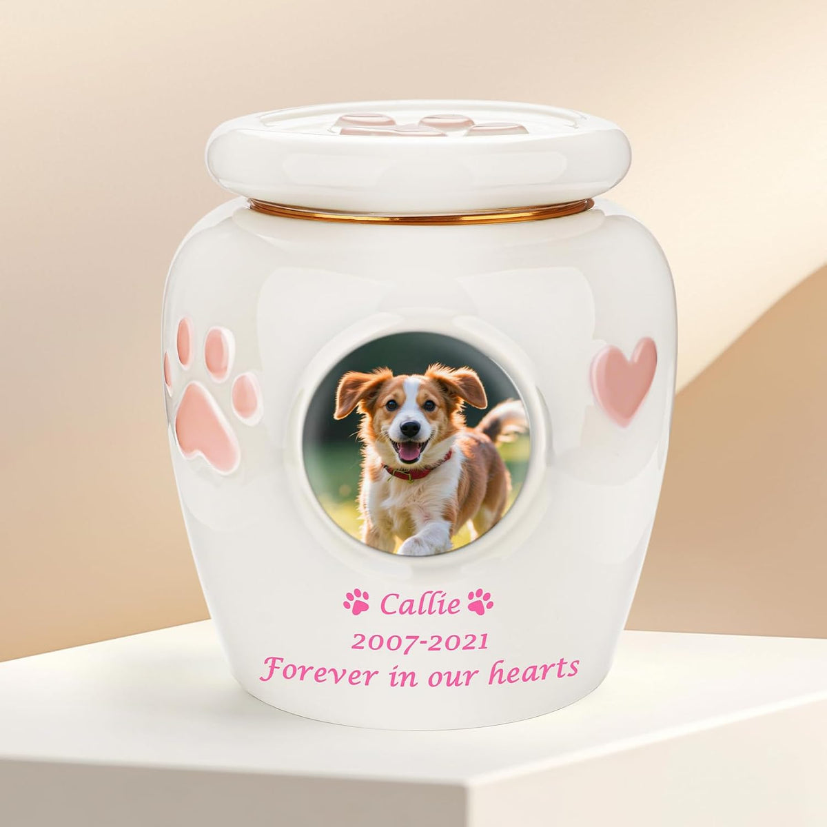 Customized Pet Urn for Dogs Cats Personalized 5.12 Inch Small Urn for Pet Ashes Cremation Keepsake Urns Ceramic