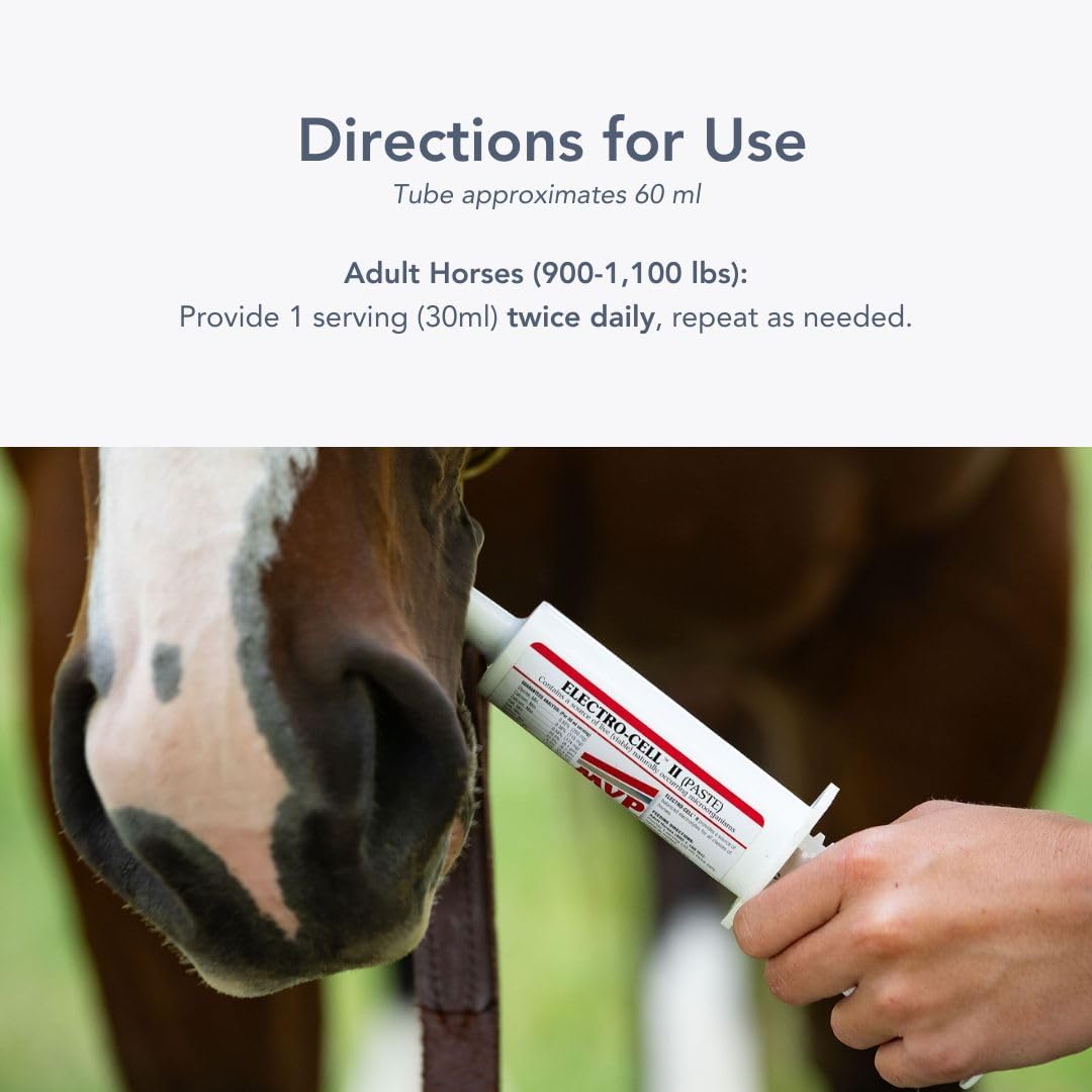 Electro-Cell II Electrolyte Paste with Probiotics for Horses