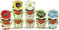 Seeds Mini Terracotta Grow Kit 12-Pack - Mini Terracotta Pot Grow Set - Complete Indoor/Outdoor Gardening Kit with
