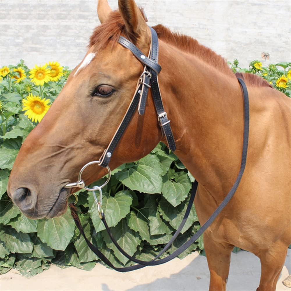 Leather Horse Bridle, Adjustable Western Browband Bridles for Horses with Bits and Detachable Reins (L (Above 1.2