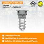 LED Explosion Proof Vapor Tight Light, Wall Mount, O Series