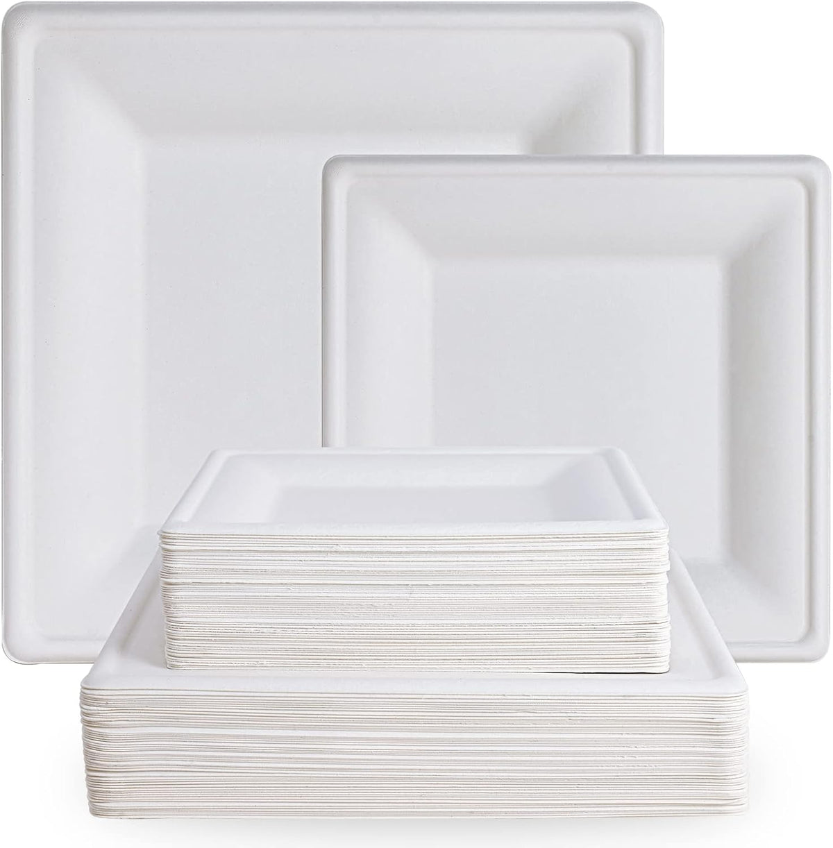 120 Pack Compostable Paper Plates Disposable, 10 inch and 8 inch