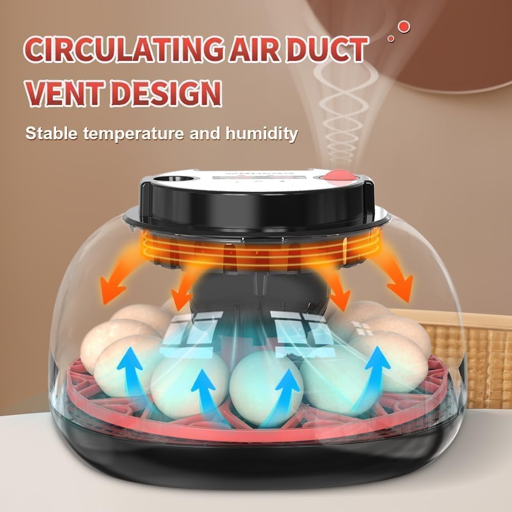 Nest II - 12 Egg Incubator for Beginners, Multi-Level Adaptive Humidity (Auto-Refill & Dual-Bottle) & Stable Temp