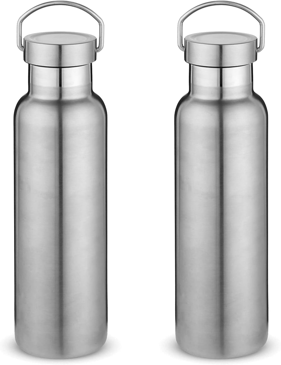 20 oz Insulated Water Bottles Bulk 2 Pack,Stainless Steel Double Wall Sport Bottle with Lid of Handle,Metal Reusable