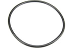 Autotecnica 55366298AA Fuel Tank Pump Seal