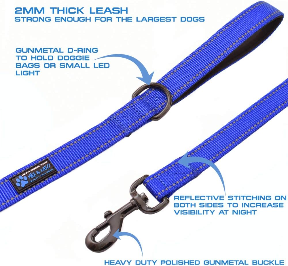Double Handle Traffic Dog Leash - Reflective, Donates to Dog Rescue (Teal, 6 FT)