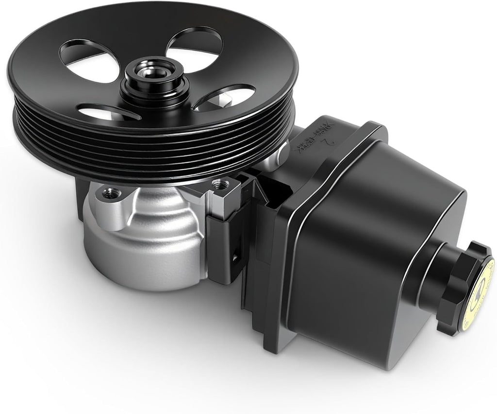 Power Steering Pump with Pulley for Chevy Trailblazer