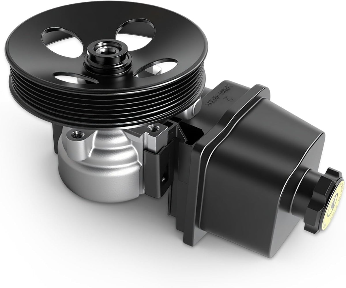 Power Steering Pump with Pulley for Chevy Trailblazer