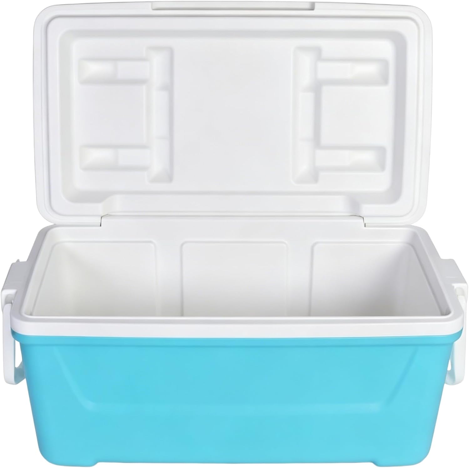 48 Quart Hard-Sided Ice Chest Cooler, Capacity Heavy Duty Ice Chest, Swing-Up Handles, Stain & Odor Resistant, Easy