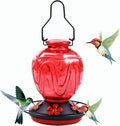 Glass Hummingbird Feeder for Outdoors Hanging, 24Ozs Humming Bird Nectar Feeder w/Perch, 5 Flower Feeding Ports, Leak