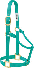 Weaver Leather Original Non-Adjustable Nylon Horse Halter, Small, Emerald Green