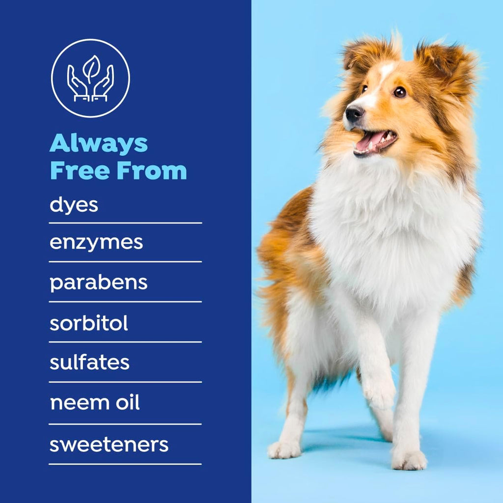 Naturél Promise Fresh Dental Breath Freshener & Teeth Cleaning Water Additive for Dogs, 18 oz Bottle