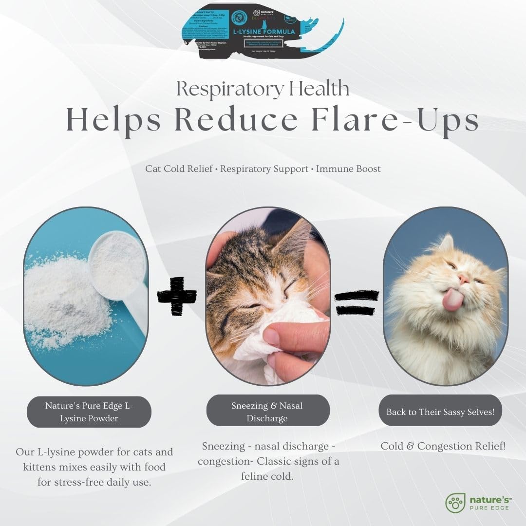 L-Lysine Powder for Cats and Kittens, Chicken Flavored Lysine Supplement for Cats and Kittens and Dogs to Support