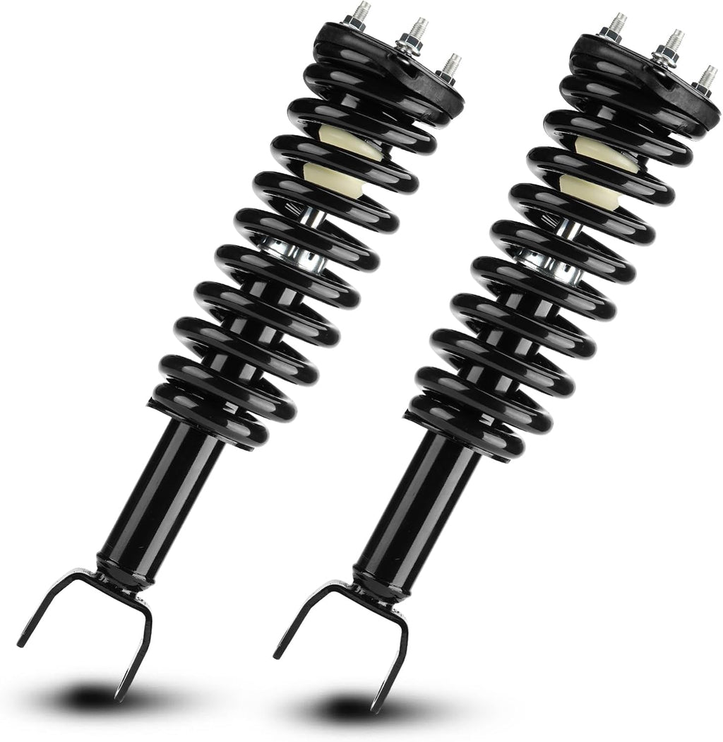 Front Complete Struts Assembly Shock Absorber Compatible with Dodge Dakota RWD 2005 2006 2007 2008 2009, for Mitsubishi Raider RWD 2006-2009, Replace 271100 (Set of 2)