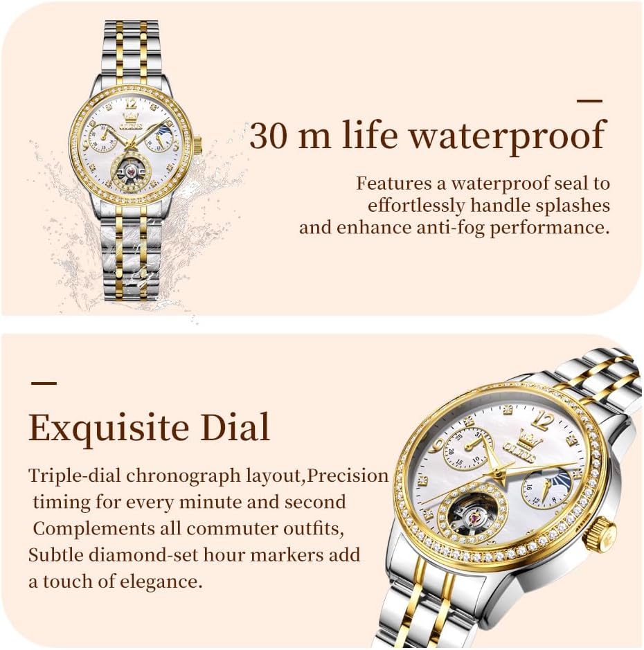 Womens Mechanical Watch Diamond Tourbillon Elegant Dress Stainless Steel Waterproof 30M Luminous Ladies Watches Set Gift