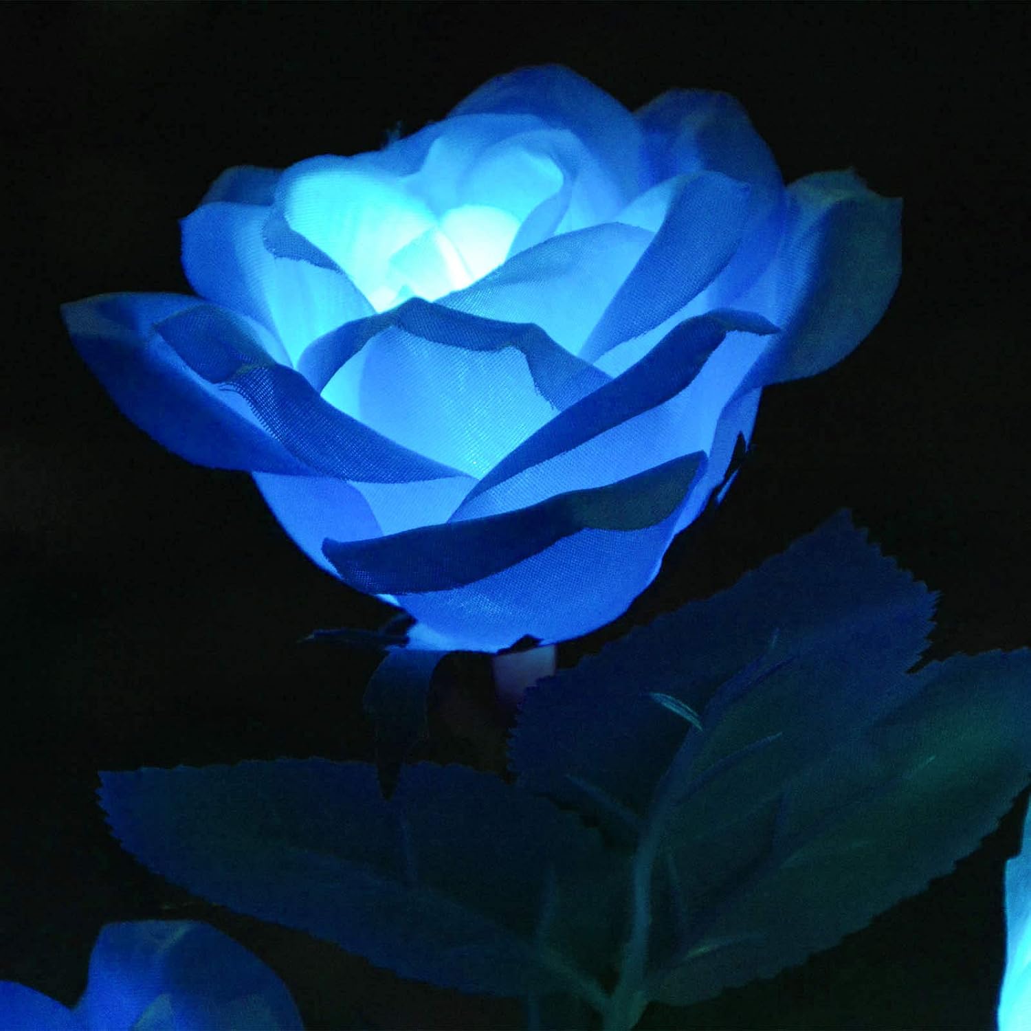 [Upgraded 6 Flowers]Solar Powered Decorative Rose Garden Stake Lights, Waterproof Realistic Artificial Flowers for