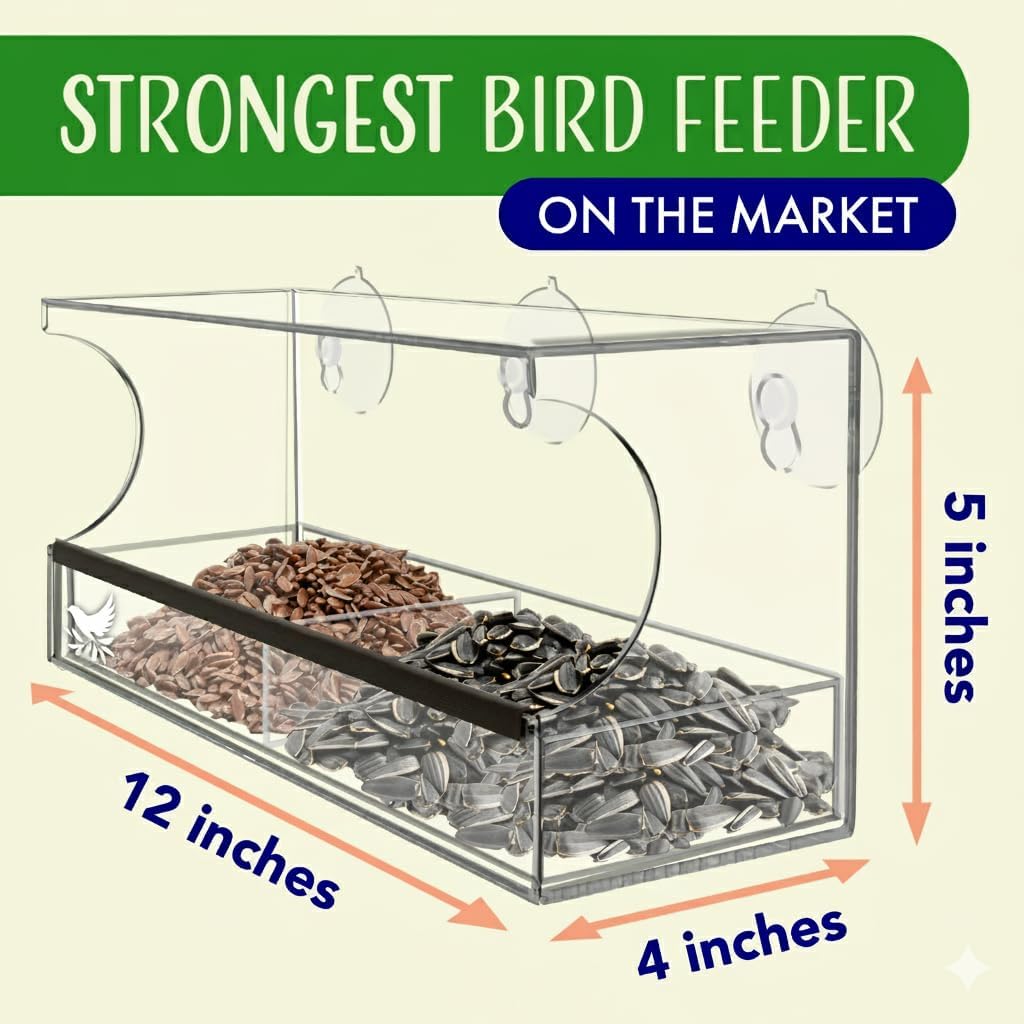 Window Bird Feeder by Nature's Hangout - No Assembly, Strong Suction Cups