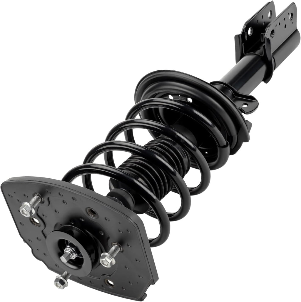 PHILTOP 2 PCS Rear Strut Assembly with Coil Spring Shock Absorber
