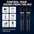 Wireless Microphones, Dual 2.4GHz Handheld Karaoke Mic System | Rechargeable Receiver with Volume, Echo, Treble, Bass