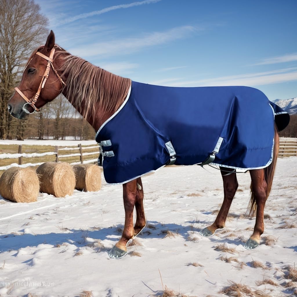 1200D Winter Horse Blanket for Real Horses | Medium Weight Turnout Blanket for All Seasons | 220g | Sizes 72" 78" 81"