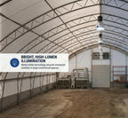 1000W Metal Halide Lamp