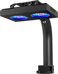 HyperReef 100 Gen 2 LED Reef Aquarium Light, 100W for LPS SPS Corals