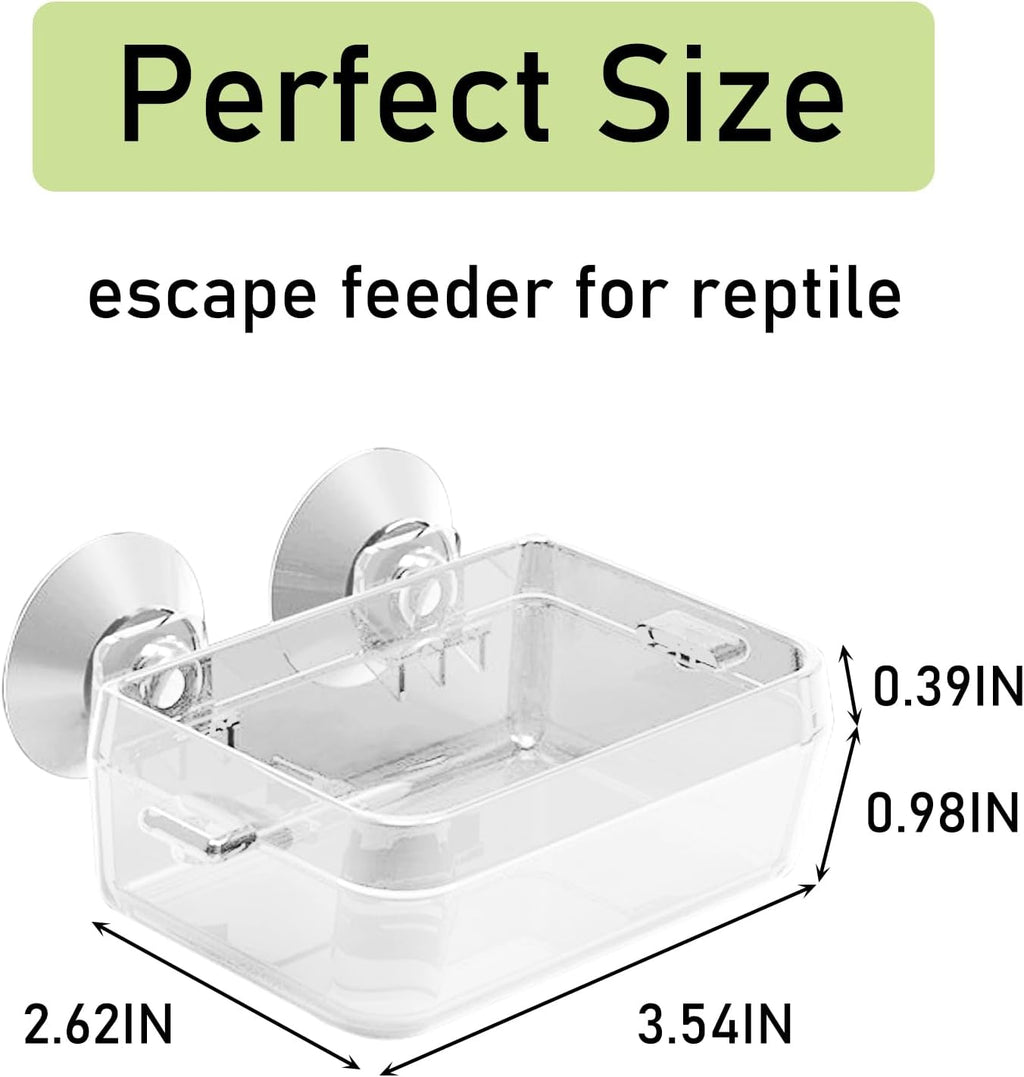 2 Pcs Chameleon Bowl, Reptile Feeding Food, Water Dish Gecko Worm Feeder Anti-Escape Chameleon Supplies Accessories
