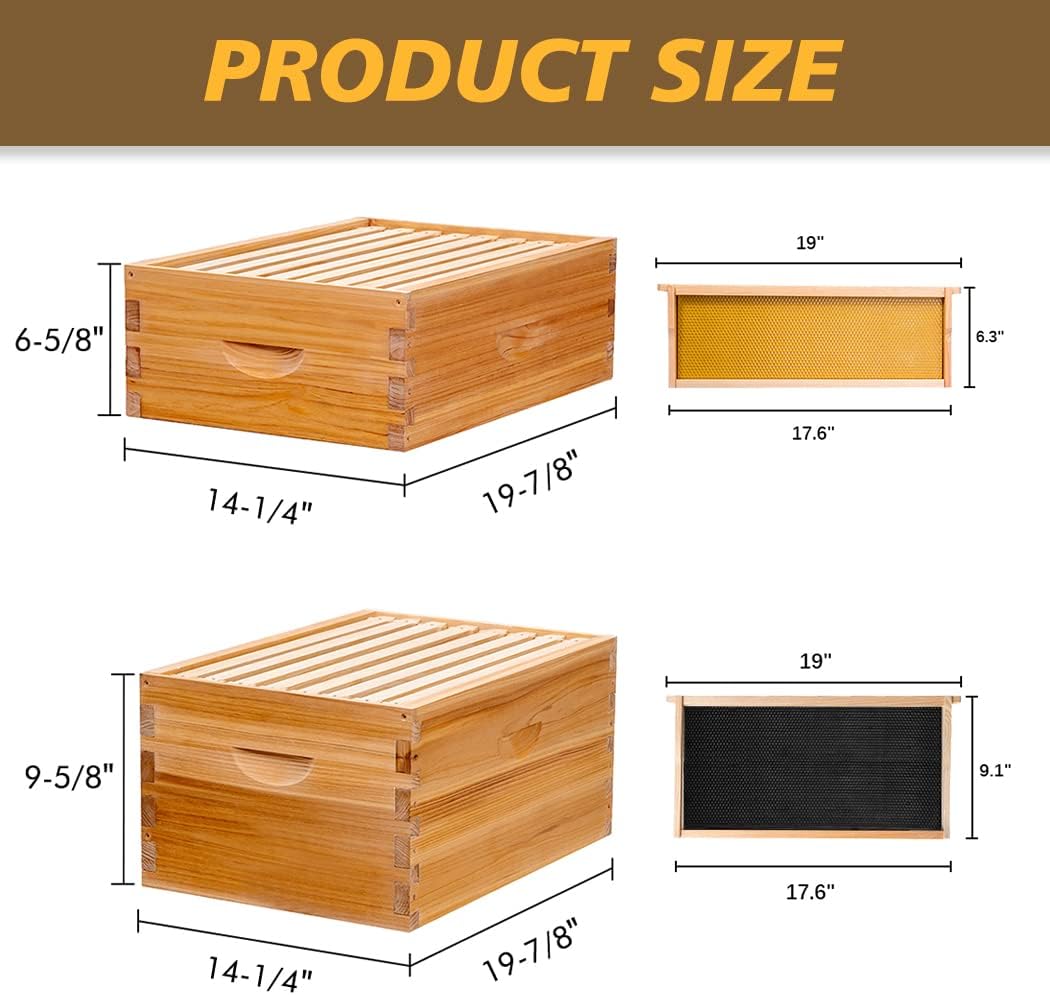 Beehive 8 Frame Bee Hives and Supplies Starter Kit, Bee Hive for Beginner, Honey Bee Hives Includes 1 Deep Bee Boxes