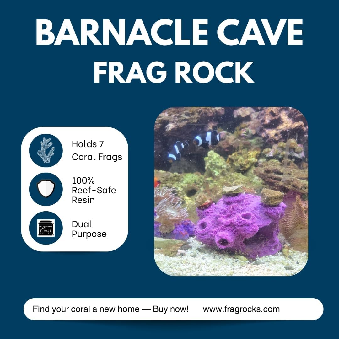 7 Hole Barnacle Cave frag Rock sandbed Base for Live Coral frag Plugs for Reef Aquariums (Coralline Purple)