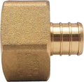 3/4 IN. BRASS PEX BARB X 1 IN. FEMALE PIPE THREAD ADAPTER