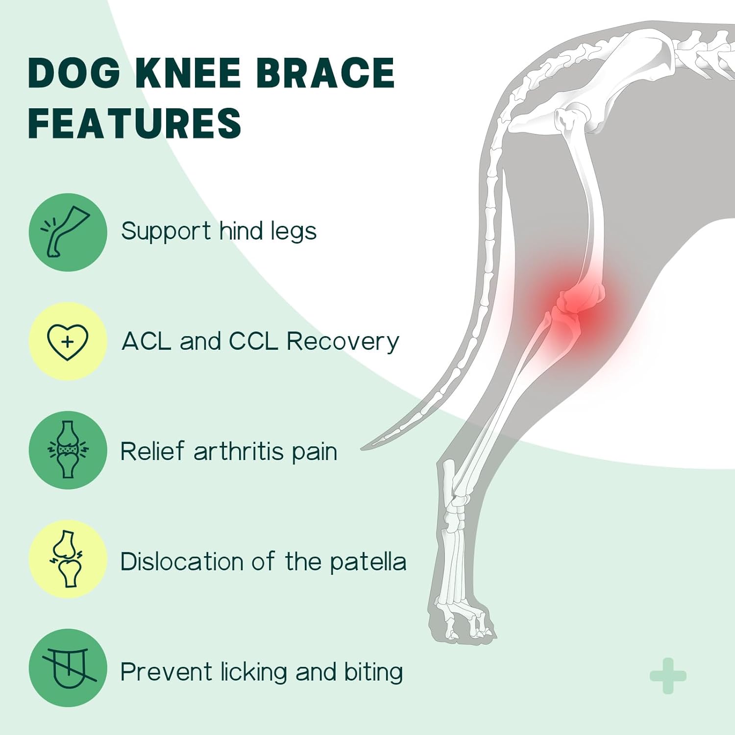 Dog Knee Brace for Torn ACL Hind Leg – Support Dog Leg Brace for Back Leg with 2 Stabilizers, Adjustable Hip Support