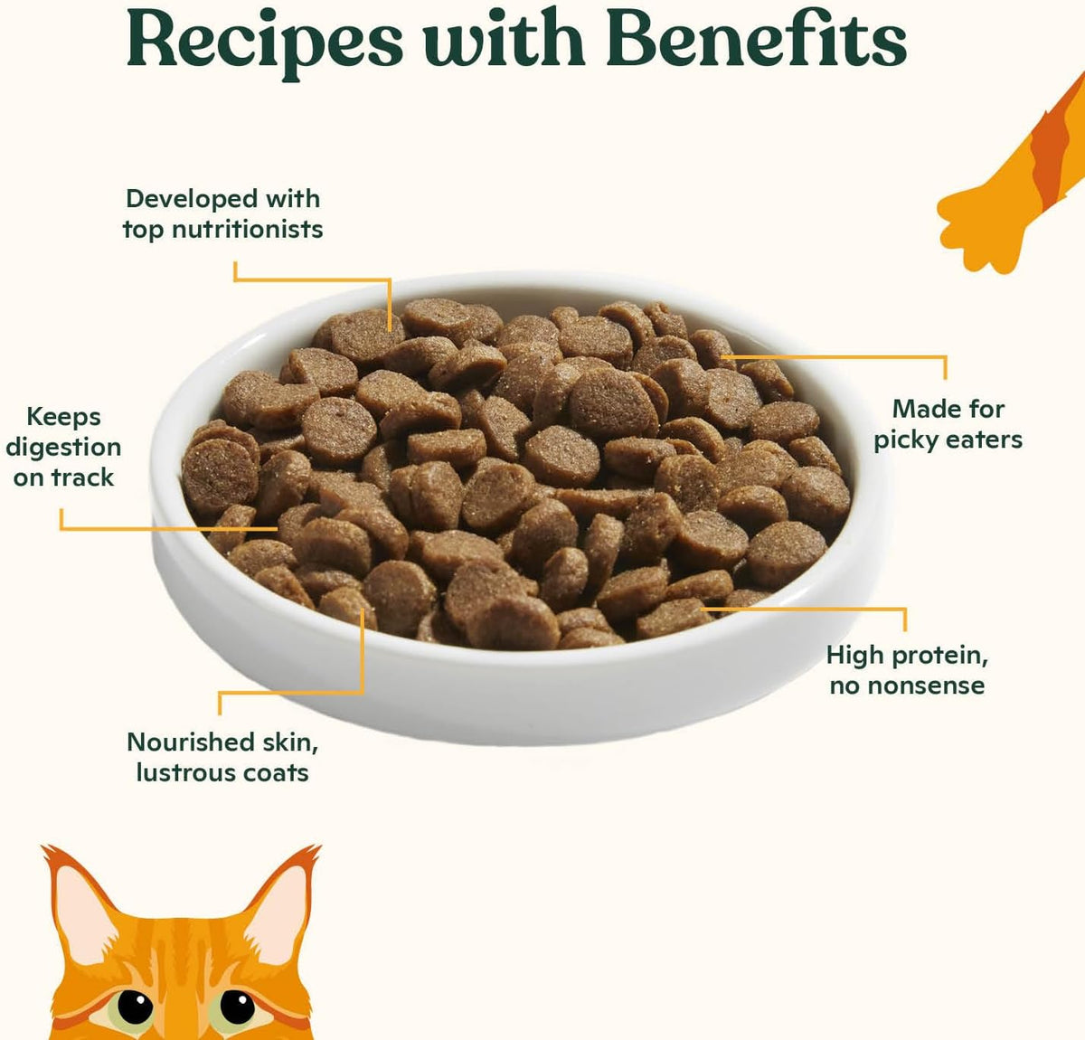 Dry Cat Kibble 4lb Bag, High Protein and Grain-Friendly Premium Cat Food, Cage-Free Chicken & Pumpkin Recipe, Infused