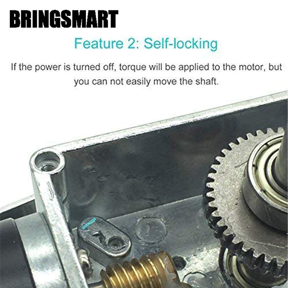 BRINGSMART 24V 40rpm DC Worm Gear Motor Self-Locking Mini Engine Turbine
