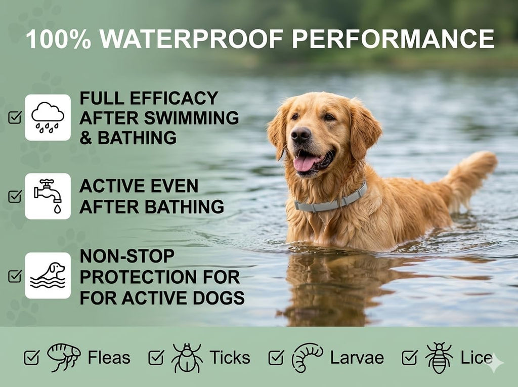 Flea and Tick Prevention for Dogs - Flea Collar - 4 Count - Adjustable